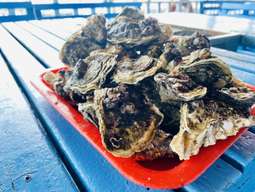 【2024 Penghu Fireworks Festival】Penghu Starlight Marine Farm: Sea Fishing Experience & All-you-can-eat Farm-to-table Oysters (Operated Directly by the Supplier) | Taiwan