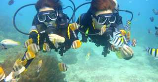 Beginner-Friendly Discover Scuba Diving in Boracay | Philippines