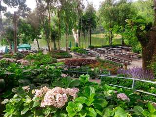 [Traveloka Exclusive] Afternoon Tea in Flower Garden with Transfer in Chiang Mai | Thailand