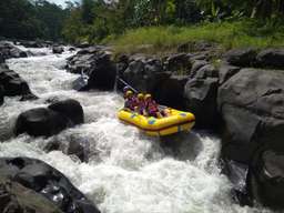 Lombok Rafting Activity