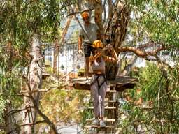 บัตรผ่านเซสชัน TreeClimb แอดิเลด | ทางใต้ของออสเตรเลีย, THB 893.55