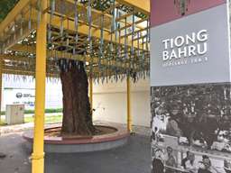 Tiong Bahru Heritage Trail Plus Lunch 