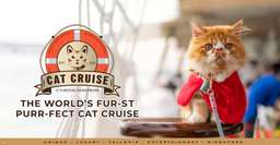 The World’s FUR-ST Cat Cruise by Royal Albatross | Singapore