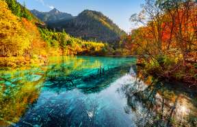 Jiuzhaigou National Park Admission Ticket + Sightseeing Bus Adult (Travelers outside mainland China)