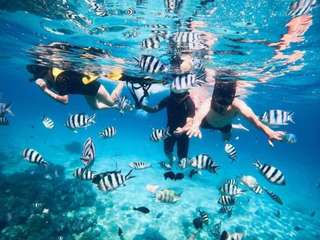 Hon Mun, Fishing Village and Mini Beach/Bai Tranh/Hon Tam - Day Tour