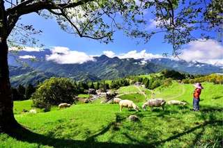 Nantou Fun Pass