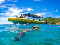 Whitehaven Beach Snorkelling and Adventure Day Tour