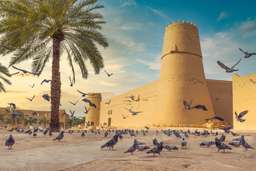 Riyadh Historical City Tour, Rp 2.413.698