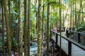 [Hervey Bay Departure} Fraser Island 3 Day 2 Night Tour | Australia