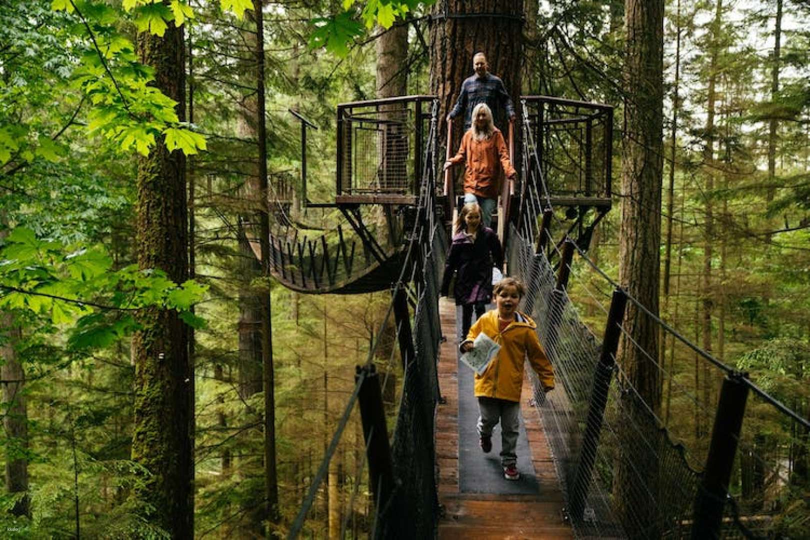 Buy Capilano Suspension Bridge Park Tickets Special Price 2023