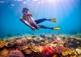 Enjoy Nemo and Pattaya One Day Tour from Bangkok or Pattaya