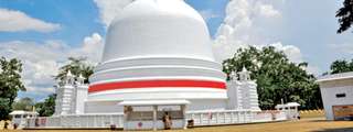 Waterfalls, Tea Plantation, and Ancestors Village Day Tour from Kandy