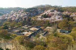 Korean Folk Village 8 Hour Guided Tour