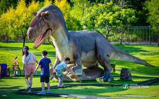 Tiket Nantou Jojozoo Park