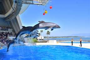 Marine World Uminonakamichi Aquarium Ticket | Fukuoka