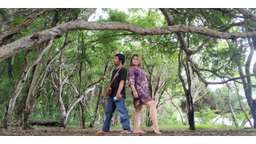 Honeymoon Lombok 3 days 2 nights, Rp 5.907.500