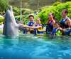 Enjoy the perfect experience for all ages when you have fun interacting with the cute dolphins