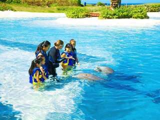 Sea Life Park Ticket with Dolphin Encounter | Hawaii