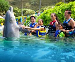 Sea Life Park Ticket with Dolphin Encounter | Hawaii, Rp 3.186.395