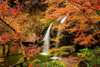 Delight in the beauty of Tsukimachi Falls and its scenic foliage for around 30 minutes. The expected foliage period is from early November to late November