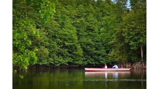Borneo Trip Sunset Mangrove and The Honey Bear Forest, Rp 350.000