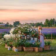 I Love Flower Farm Chiangmai Tickets (Traveloka Exclusive) 