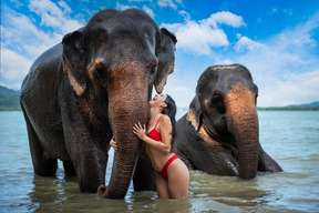 Elephant Care Camp Private Sea at Sirey Phuket