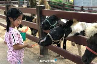 Bangkok to Khao Yai Private Tour with English Speaking Driver - 3 Days