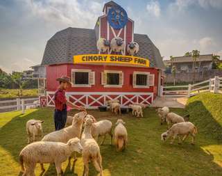 Cimory Dairyland Farm Theme Park Prigen Jawa Timur