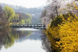 Tour Tham Quan Gyeonggi-do Đạt Chứng Nhận GTO: Làng Dân Gian Suwon, Trải Nghiệm Làm Kem, Cho Ăn tại Trang Trại, Ngồi Khinh Khí Cầu | Hàn Quốc, VND 2.547.873