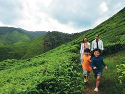 Private Nature Trip to Cameron Highlands from Kuala Lumpur - Day Tour, USD 78.78
