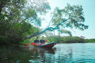Eco Mangrove Ulam Sari, Rp 250.000