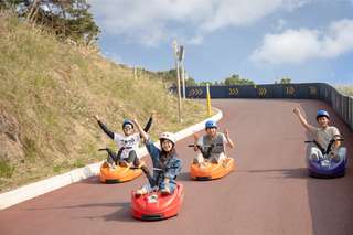 Luge Racing Car & Alpaca World - Day Tour by S. A. Tour