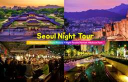 Moonlight Seoul Night Tour (Royal Palace, Cheonggyecheon stream, Naksan Park & Foodie Market), USD 38.24