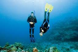 Diving di Tanjung Benoa-Nusa Dua by Bali Best Adventure, RM 66.40