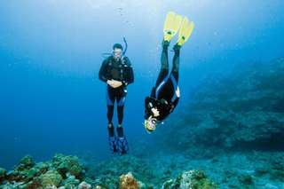 Diving di Tanjung Benoa-Nusa Dua by Bali Best Adventure, Rp 500.000