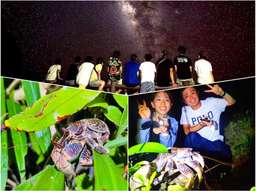 Stargazing + Jungle Night Tour Reservation Experience a natural planetarium in Miyakojima at night (Miyakojima, Okinawa), Rp 540.547