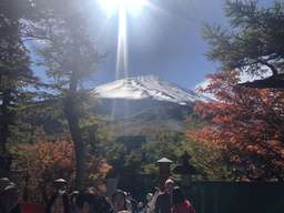From Tokyo: Mount Fuji, Cruise and Sake Tour, THB 2,882.95