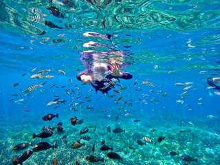 Nusa Lembongan & Nusa Penida 3 spots snorkeling with Mangrove & Nusa Lembongan Tour , Rp 425.000