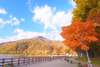 In fall, maple trees surround Lake Shikotsu