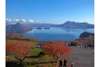 Lake Toya in autumn