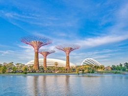 Sing Swee Kee Chicken Rice Workshop 2