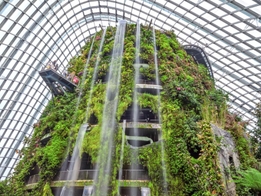 Sing Swee Kee Chicken Rice Workshop 5