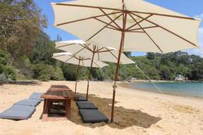 Group Picnic and Paddle Experience in Manly Beach