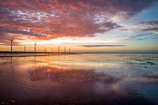 [15% OFF] Qingjing Farm & Gaomei Wetlands: Shared 1-Day Tour | Departure from Taichung
