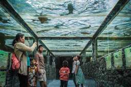 Monster Aquarium Ticket | Pattaya, Rp 102.718