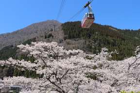 [Daily Guaranteed Departure] Kyushu 1-Day Tour from Fukuoka: Beppu Ropeway, Kama Jigoku, Yufuin Town, Dazaifu Tenmangu Shrine | Free Onsen Tamago & Soft Drink