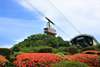 Beppu Ropeway (stay time is about 50~60 minutes, including cable car round trip fee)