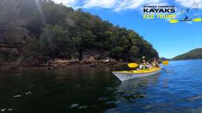 Middle Harbour Kayak Eco Tour by Sydney Harbour Kayaks | Sydney