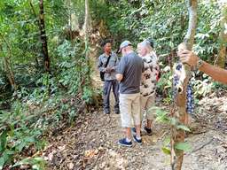 Langkawi Rainforest Trekking